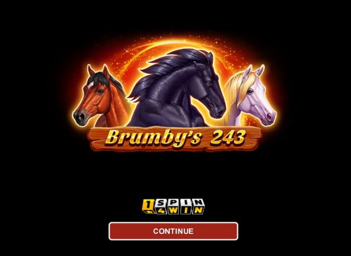 Brumby S 243