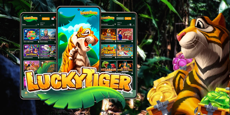 The best Lucky Tiger Casino games providers